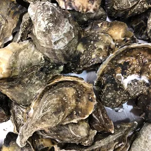 We have oysters from Bahia Falsa, Mexico at $10.99 a dozen closed or a box of 10 Dozen for $58. Please call us ahead of time for avail.