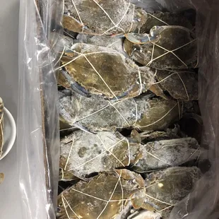 Blue Crab (Jiaba Azul)