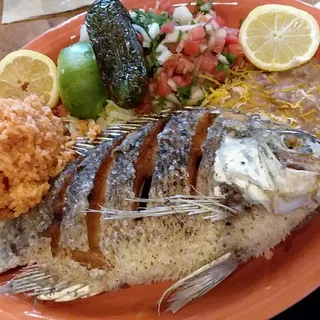 Tilapia