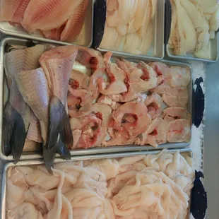 a variety of fish in trays