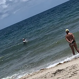 Absolute L.