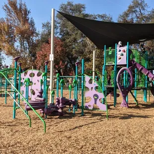 The main playground area