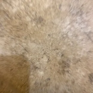 I tried to take a photo here of the ants all over the bathroom. They are toward the center of the picture and one was even on the toilet
