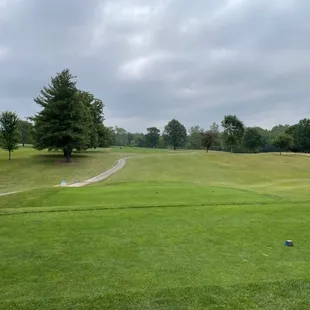 #1 tee box