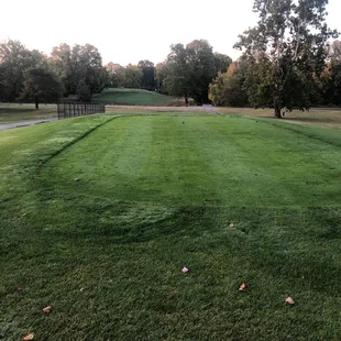 #10 tee box