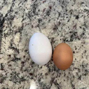 Pleasant Valley farm egg next to my organic store bought egg.