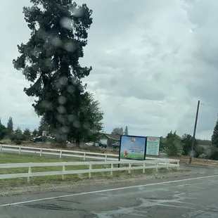 a view from a car window