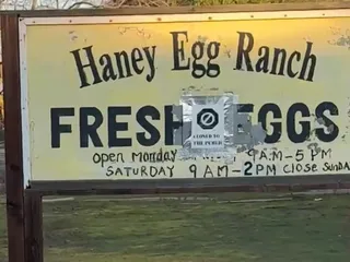 Haney Egg Ranch