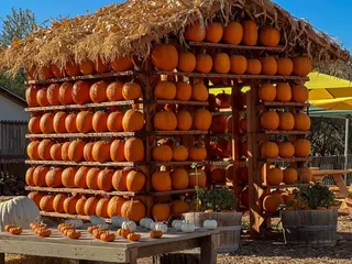 Sons Farm Fresh