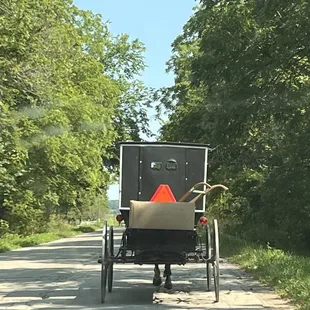 Amish buggy