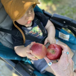Picking our way through the orchard
