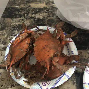 a crab on a plate