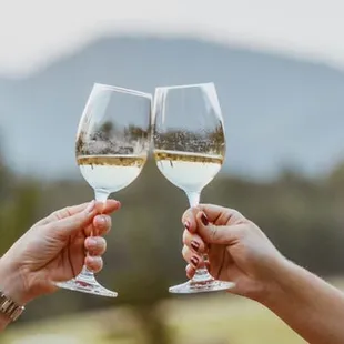 Wine Tasting