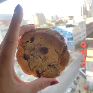 CHOCOLATE CHIP COOKIE
