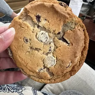 Amazing CHOCOLATE CHIP COOKIE