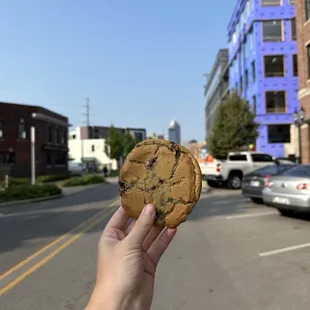  hand holding a chocolate chip cookie