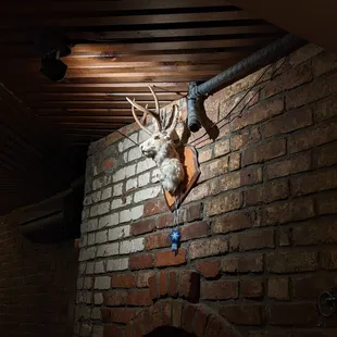 Decorations inside PDT