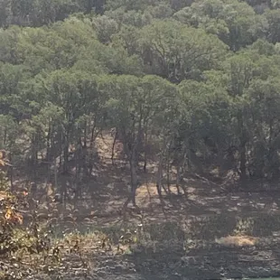 Boats docked at Lake Berryessa