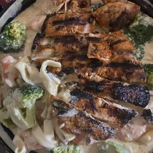Chicken and #12A Shrimp and Chicken Alfredo