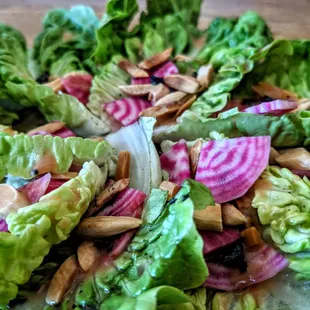 a salad with lettuce, radishes and almonds