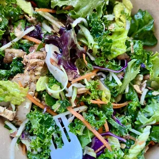 Crunchy salad ( huge portions)