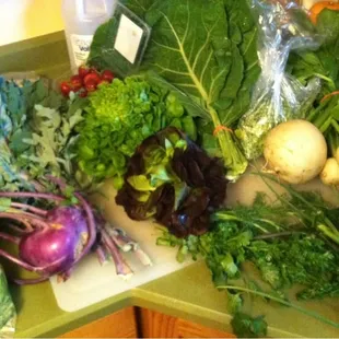 June bounty! Strawberries, lettuce, kohlrabi, etc.
