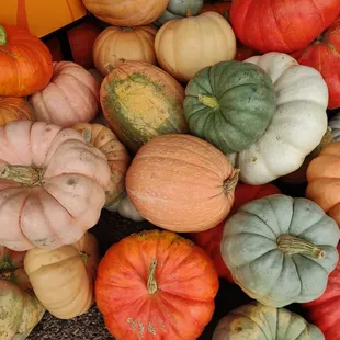 a large pile of pumpkins