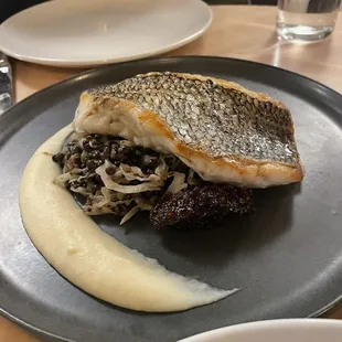 Sea Bass