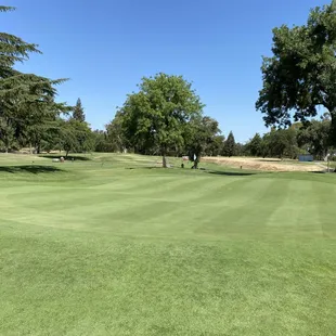 Greens in great shape