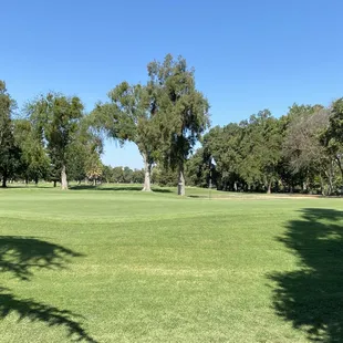 Greens with undulation