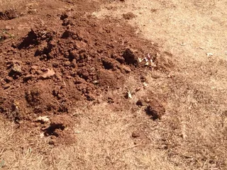 Rasberry Hill Public Golf