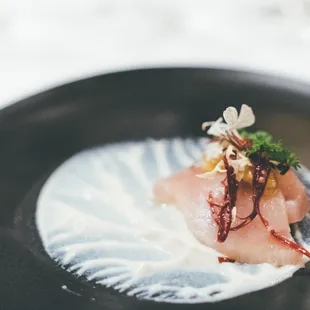 Wild Albacore with charred chicories, tonnato, gremolata