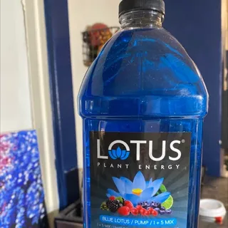 Lotus Energy