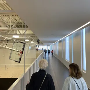 Walking track