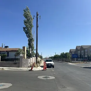 Electric poles near tree: risk power outages, fires, traffic collisions obstructs drivers at adjacent stop sign.