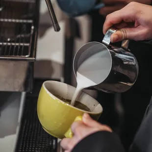 soups and chowder, drink