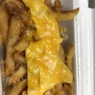 Cheese Fries