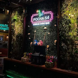 Pocha 54