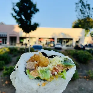 Red Dragon (Lettuce, Cucumber, Spicy Tuna, Tempura Shrimp, Unagi, Avocado, Teriyaki, Spicy Mayo)