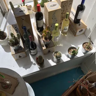 From succulents to wine- they've got all the goods!