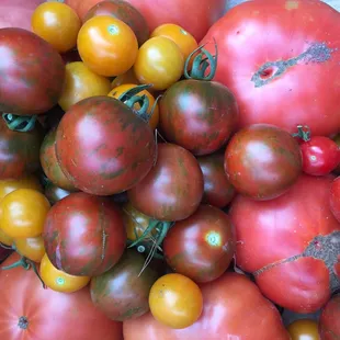 Heirloom Tomatoes