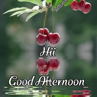 Good afternoon.