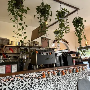 Local, homey, unpretentious