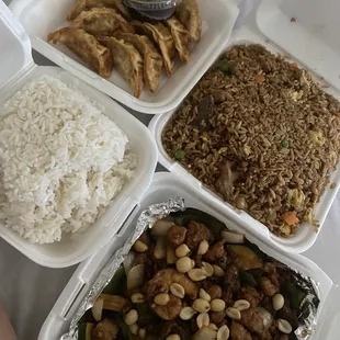 White Steamed Rice fried dumplings Mixed Ingredient Fried Rice mixed Kung pao