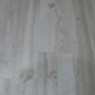 Common Areas stained with urine for months on end. No response to my email on this.