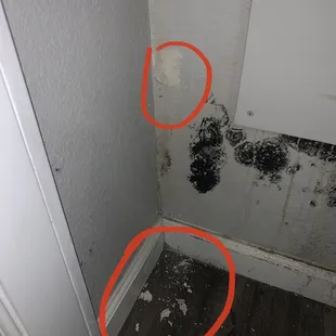 wall breaking due to mold