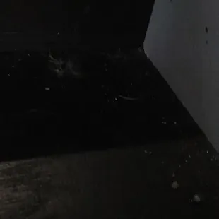 Common Areas filthy for months on end. No response to my email on this.