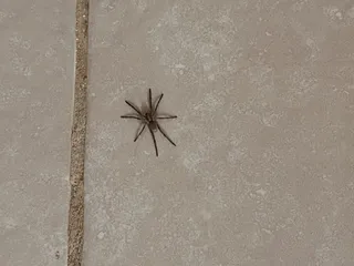 Water's Edge Apartments