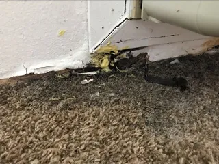 Sugar Creek Apartments