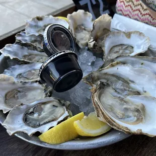 Oysters!